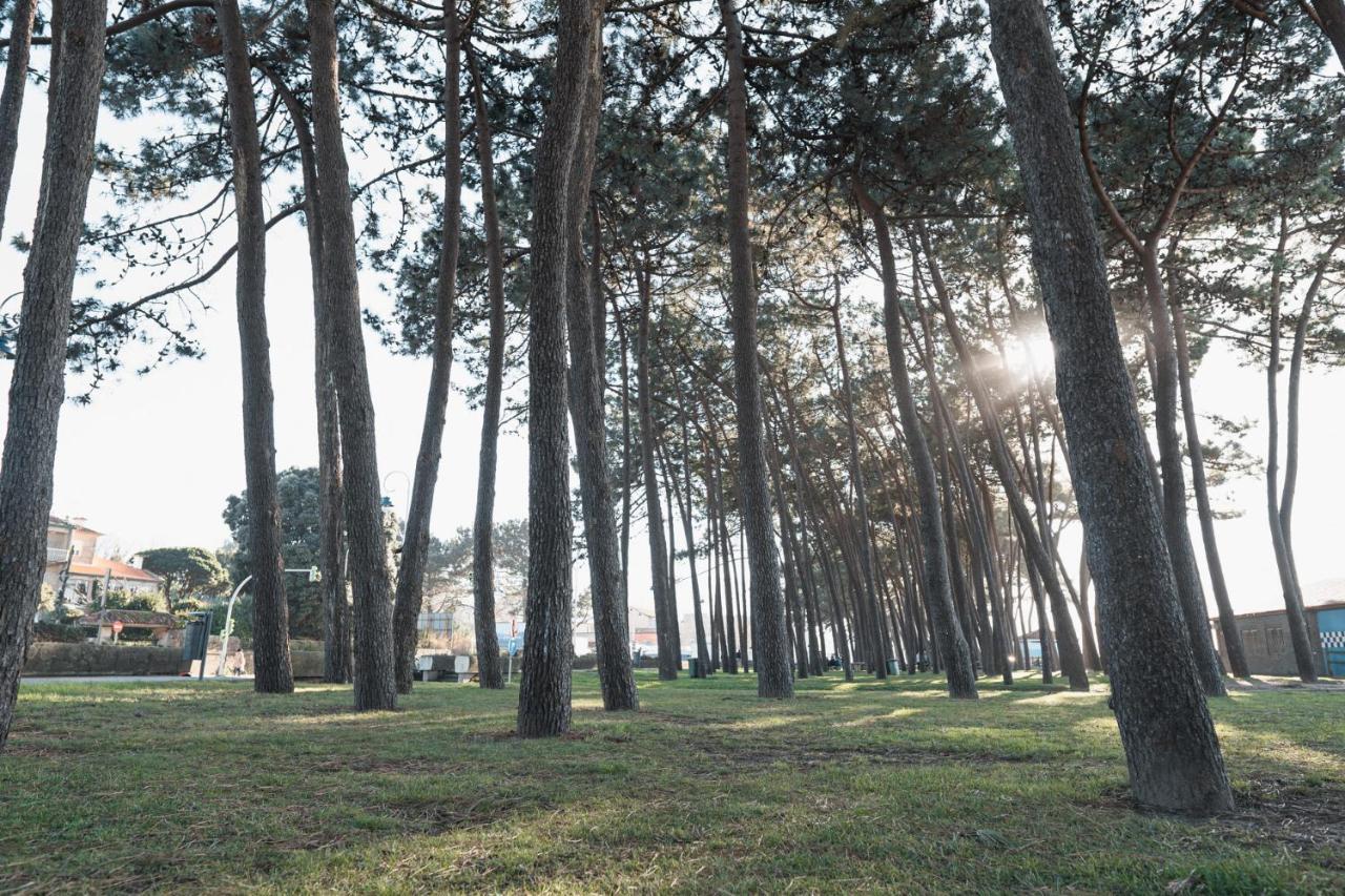 비고 Samil Playa 아파트 외부 사진